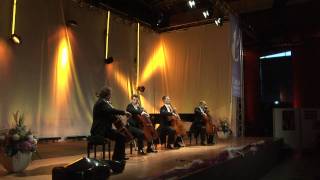 cello quartet quattrocelli  Trailer  the quattrocelli scenes LIVE [upl. by Eeral]