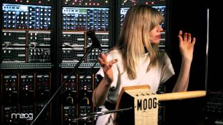 Dorit Chrysler  Sustain Me  Moog Sound Lab [upl. by Ramyaj]