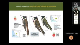 AVES ENDEMICAS DE LA REGION DEL CUSCO  Saturnino LLactahuaman  Birds of Peru [upl. by Silado]