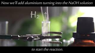 What happens when aluminium Al reacts with NaOH  Al  NaOH  H2O  Hydrogen gas popping test [upl. by Ahsirat]