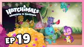 Hatchimals  Adventures in Hatchtopia S1  Episode 19 – Brand New Band [upl. by Enyluqcaj]