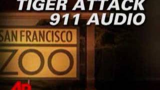 911 Audio San Francisco Zoo Tiger Attack [upl. by Honor]