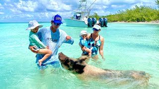 MASSIVE BAHAMAS PIGS  Swimming with Pigs Turtles and Stingrays in Eleuthera [upl. by Ainaled390]