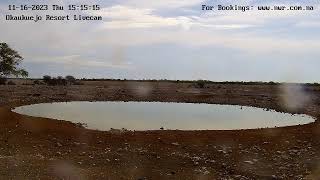 Okaukuejo Resort Wildlife Waterhole Live camera stream in the Etosha National Park in Namibia [upl. by Ahcurb]