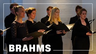 Brahms Sieben Lieder Op 62 by Mogens Dahl Chamber Choir [upl. by Dranreb]