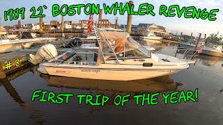 22 1989 Boston Whaler Revenge  First fishing trip of the year [upl. by Gerald]