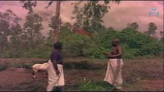 Aattukkara Alamelu  Sivakumar Rescuing A Goat [upl. by Idden663]