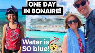 What to do for ONE DAY IN BONAIRE  Cruise Excursion Options [upl. by Bettzel]