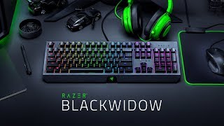 Introducing the new Razer Blackwidow [upl. by Tap647]