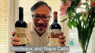 Bordeaux Wine Basics Difference Between Bordeaux and Napa Valley Cabernet Sauvignon [upl. by Rafferty]