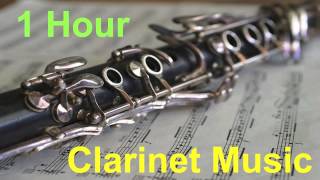 Clarinet amp Clarinet Music Feels So Good Featuring Clarinet Clarinet Solo and Clarinet Music [upl. by Nnaitak632]