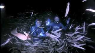 JeanMichel Cousteaus Secret Ocean  Official Trailer [upl. by Martinsen]