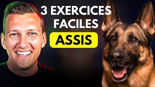 Apprendre Le ASSIS à Son CHIEN ou CHIOT tuto complet [upl. by Zetra]