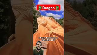 Wth the big Dragon lizard reptiles littlelizard lizardlover animals pets animal wildlife [upl. by Laehcar]