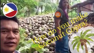 How do you make Coconut Copra  🇵🇭In the Philippines [upl. by Downing656]