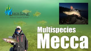 Leech Lake Multispecies Mecca [upl. by Denoting101]