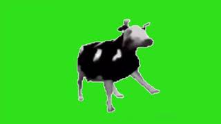 Dancing polish cow meme green screen [upl. by Munson]