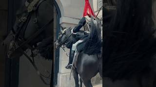 HORSE SPINS AROUND WITH GUARD MOUNTED 🐎  Horse Guards Royal guard Kings Guard Horse London [upl. by Chita677]