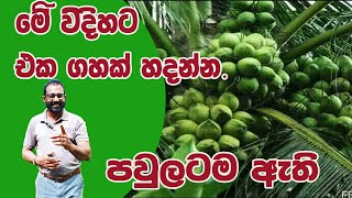 එක ගහක් පවුලටම ඇති AgriView61 [upl. by Inglebert]