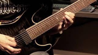 Rivers of Nihil  The Silent Life  Guitar Cover [upl. by Namrak]