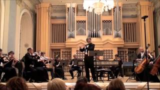 S Mercadante  Flute Concerto in E Minor [upl. by Caffrey]