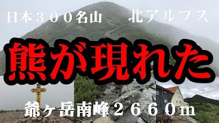 【北アルプス】日本３００名山爺ヶ岳 [upl. by Aneek857]