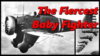 Americas First Monoplane Fighter Was Adorable  Boeing P26 Peashooter  History in the Dark [upl. by Attennot]