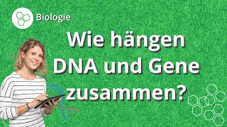 DNA und Gene so hängen sie zusammen – Biologie  Duden Learnattack [upl. by Dreda]