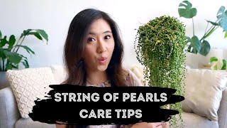 String of Pearls Care Tips  8 tips you should know [upl. by Moskow]