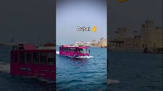 Amazing Dubai❤️✌️travel dubai viralvideo trending shortvideo trendingshorts dubailife short [upl. by Peonir]