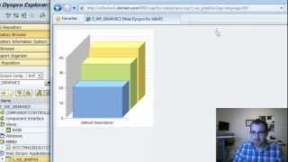 ABAP WebDynpro Business Graphics 3D SAP Tutorial Part 10 [upl. by Esihcoc]