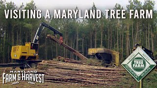 Visiting a Sustainable Tree Farm  Maryland Farm amp Harvest [upl. by Kenney]