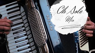 O Sole Mio  Accordion Solo  Fisarmonica [upl. by Wystand119]