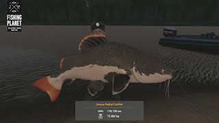 Fishing Planet Big Catfish at Marron River  Spots Locations Tips amp Tactics [upl. by Edualcnaej222]