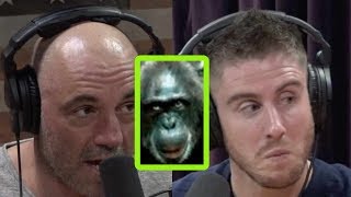 Joe Rogan Talks LionKilling Chimps Terror Birds and More [upl. by Euqinwahs876]