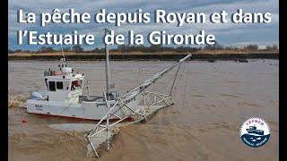 La pêche depuis Royan et dans lEstuaire de la Gironde CRPMEM NouvelleAquitaine [upl. by Zrike799]