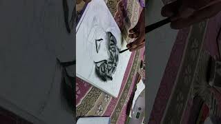 Tiger Drawing shorts ytshorts drawing tiger viralvideo [upl. by Weldon]