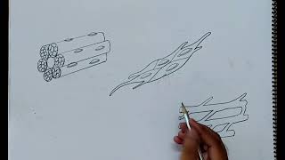 How To Draw Skeletal Smooth and Cardiac Muscle Diagram  Types Of Muscles  Muscle drawing [upl. by Peterec]