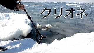 試される大地 クリオネ捕獲作戦！ 【水中カメラが捕らえた！】 [upl. by Sisson]