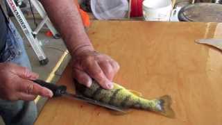 How to clean a Perch with no waste [upl. by Arramahs]