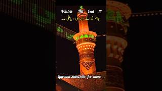 Janam Fida e Haideri Ya Ali by Sadiq Hussain  Best Islamic Status  Yom e Shahadat Hazrat Ali RA [upl. by Marba676]