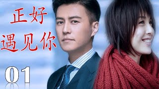 【靳东李佳定情之作】《正好遇见你》第01集 年轻人奋斗拼搏跌宕起伏的青春感人故事 [upl. by Yenial]