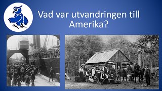 Vad var utvandringen till Amerika Sveriges historia [upl. by Edialeda]