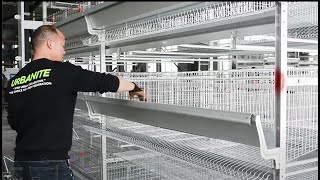 A Few Minutes to Teach You How to Install Automatic HFrame Layer Battery Chicken Cage System [upl. by Nomannic]