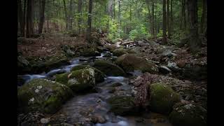 Gentle Rivers amp Stream Sound  Bachlauf ruhig und entspannt [upl. by Aiset]