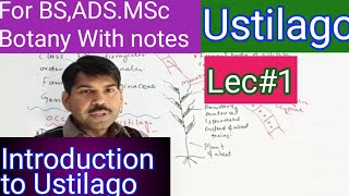 Ustilago introduction [upl. by Calloway679]