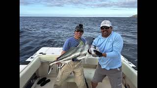 Marlin Sailfish Roosterfish Bucket list fishing Adventure in Cabo [upl. by Chalmer147]