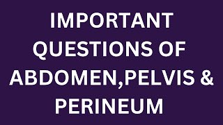 Important questions of ABDOMEN PELVIS amp PERINEUM [upl. by Sola]