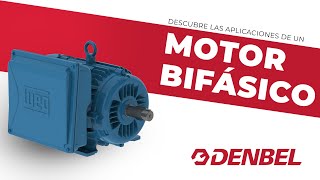 Motor Eléctrico Bifásico WEG 10 HP 1750 RPM [upl. by Bail]