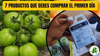 7 productos para la producción de tomates que voy a comprar los primeros días del 2024 [upl. by Amby]